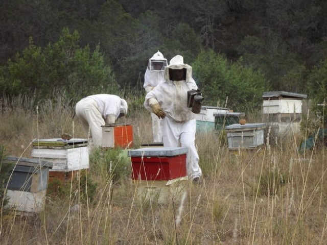 finalizando la labor